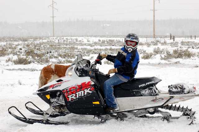 Polaris RMK Series | MNopedia